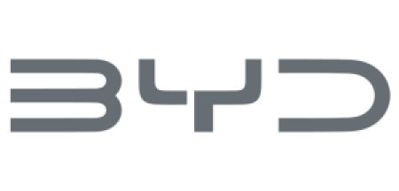 Logo Byd Slawi